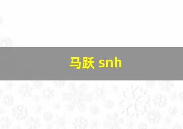 马跃 snh